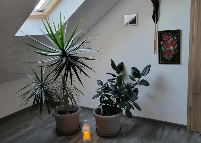 Ruhige - Dachterasse Und Panoramablick